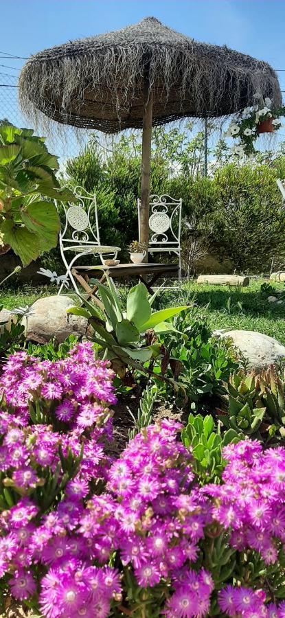 Blacksheep Sagres Guesthouse & Surf المظهر الخارجي الصورة