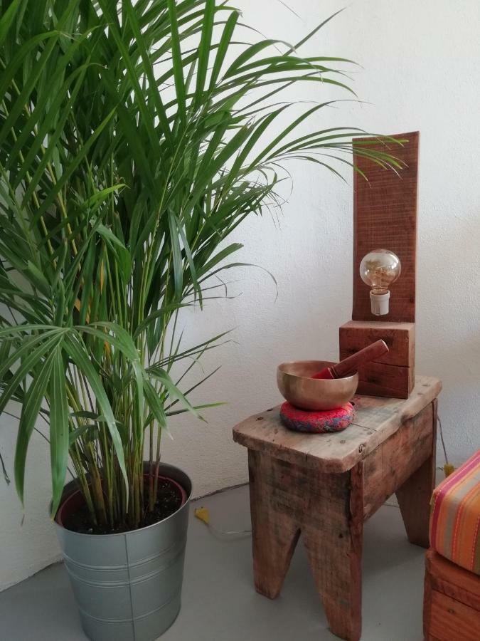 Blacksheep Sagres Guesthouse & Surf المظهر الخارجي الصورة